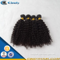 Wholesale Unprocessed No Shedding No Tangle 100% Curly Human Indian Virgin Hair Bulk